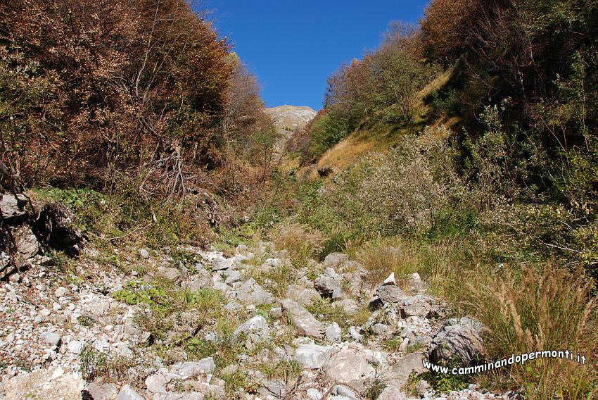 09 12571 Sullo sfondo la Croce di Zorzone.JPG